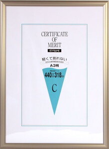 C^ z ܏z A3 A~t[ O[ AS-20-A3-SP