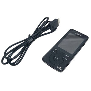 SONY �E�H�[�N�}�� E�V���[�Y 4GB �u���b�N NW-E083/B