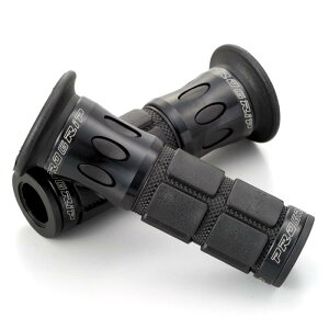 fCgi(Daytona) PROGRIP(vObv) oCNp Obv nha22.2(t)p 115mm X^_[ho[ Ghђ 744^Cv A~O ubN 98104
