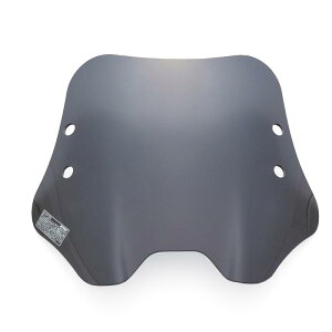 fCgi(Daytona) oCNp XN[ Nvo[t VOiXX(19-20)p EChV[h SSV[Y V[g X[N 99186