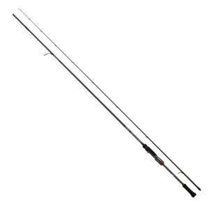 _C(DAIWA) 21 G_X XgCXg RT 76MMH