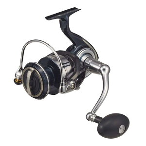 _C(DAIWA) 21 Ze[gSW 8000-H