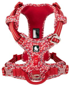 cocomall 2020V^ pn[lX p hbO ybgpi n[lX 3Mˍޗ P iC ^A^A^Ɍ ʋC ߉\ (XS, Poppy Red)
