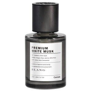 J[Cg(CARMATE) ԗp LF BLANG uO Lbh NL u^ v~AzCgXN e 160ml L911