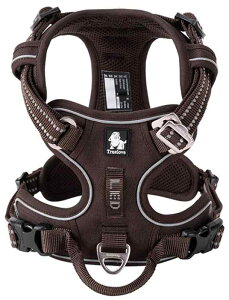 cocomall 2020V^ pn[lX p hbO ybgpi n[lX 3Mˍޗ P iC ^A^A^Ɍ ʋC ߉\ (S, uE)