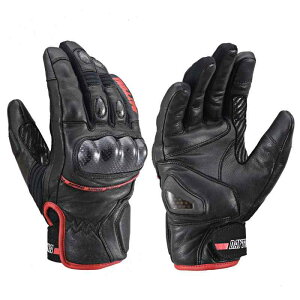 fCgi(Daytona) oCN O[u ~ v(Mv) h h J[{veN^[ X}zΉ AWX|[cV[gO[u HBG-058 ubN/bh LTCY 22199