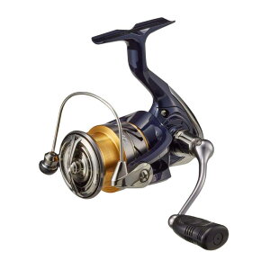 _C(DAIWA) XsjO[ 20 NXg LT2500(2020f)