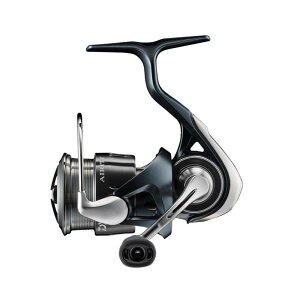 _C(DAIWA) XsjO[ 23GAeB(AIRITY) ST SF2000SS-P