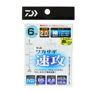 _C(DAIWA) NXeBA KJTMd|SS U L[v 6{ 1.5