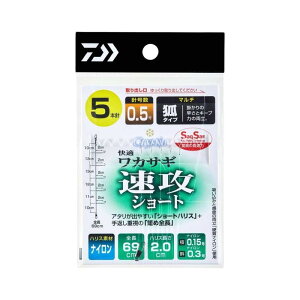 _C(DAIWA) NXeBA KJTMd|SS UV[g }` 5{ 1.0