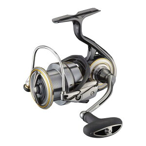 _C(DAIWA) 21 rAX GAeB LT4000-CXH
