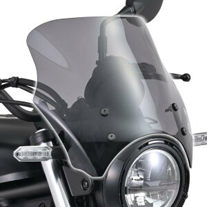 fCgi(Daytona) oCNp XN[ G~l[^[(24)p uXgoA[ X[N 42156