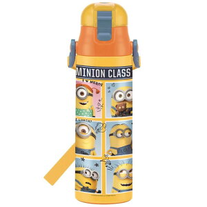 XP[^[ (skater) qp   XeX 580ml ~jI 20 ~jIY SDC6N-A