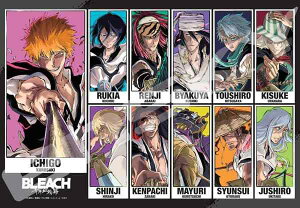 �G���X�J�C(ENSKY) �W�O�\�[�p�Y�� BLEACH ��N����� BLEACH CALL YOUR NAME VISUAL 1000�s�[�X (1000T-537)