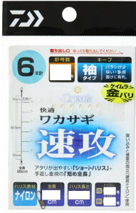 _C(DAIWA) NXeBA KJTMd|SS U L[v 6{ 1.0