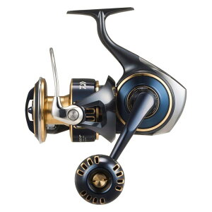 _C(DAIWA) SWXsjO[ 25SALTIGA(\eBK) 10000-P