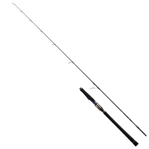 _C(DAIWA) ItVACgLXeBObh SALTIGA LC 73-2