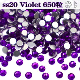 【violet　バイオレット】　ガラスビジュー　ガラスストーン　高輝度ストーン　ss20　650粒　ラインストーン　レオタード製作
