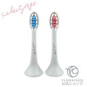 替えブラシヘッド 各1本 LED音波電動歯ブラシ 専用 朝用 夜用