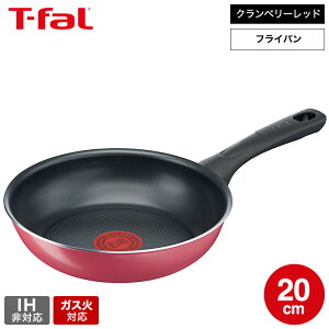 iyEjeBt@[ T-fal Nx[bh tCp 20cm B55902 KXΐpEIHs /  m点}[N тɂ  y `^ER[eBO t-fal T-FAL tfal Tfa