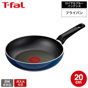eBt@[ T-fal Cu[ECeX tCp 20cm D53302 yʃf / IHs KXΐp m点}[N тɂ  tCp t-fal T-FAL tfal Tfal J