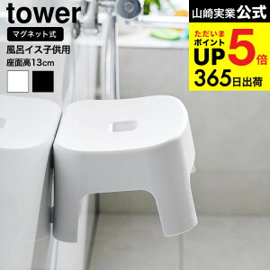 [ }OlbgCCX ^[ LbYp SH13 ] R  tower C 1852 1853 zCg ubN / 13cm qp C֎q C oX`FA ǂ LbY [  ^[V