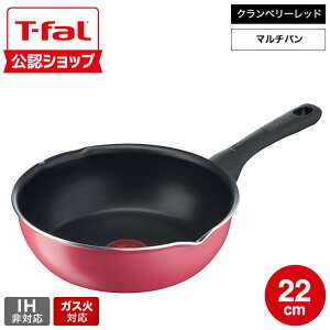 �i�y�E�������j�e�B�t�@�[�� T-fal �N�����x���[���b�h �}���`�p�� 22cm B55975 �K�X�ΐ�p�EIH�s�� / �[�^�t���C�p�� ���ؓ� ���� ���m�点�}�[�N ���т���ɂ��� ������ �y�� �`�^���E�R�[
