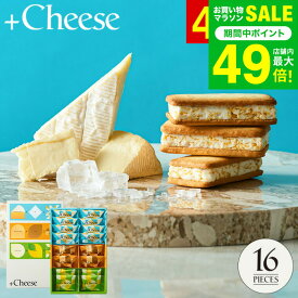 お菓子 ギフト ソムリエ@ギフト オリジナルスイーツ +Cheese プラスチーズ 16個（包装済、外のし） 内祝い お返し 出産内祝い 結婚内祝い 出産祝い 結婚祝い 引っ越し祝い 手土産 個包装 焼き菓子JGS 送料無料 バレンタインギフト2026 寒中見舞い 入学内祝い
