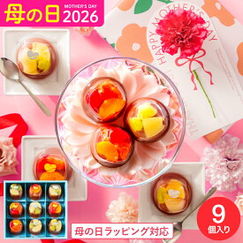 母の日 お菓子 ギフト 和菓子 ”見てかわいい食べて美味しい和スイーツ” 中島大祥堂 ひととえ 贅沢フルーツの水ようかん 9個入 / Hitotoe 内祝い 出産 結婚内祝い 快気祝い JGS 送料無料 プレゼント お返し 入学内祝い 母の日ギフト2026