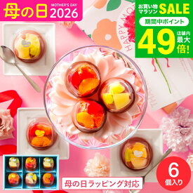 母の日 お菓子 ギフト 和菓子 ”見てかわいい食べて美味しい和スイーツ” 中島大祥堂 ひととえ 贅沢フルーツの水ようかん 6個入 / Hitotoe 水 ようかん フルーツ 内祝い 出産内祝い 結婚内祝い 快気祝い JGS 送料無料 プレゼント お返し 入学内祝い 母の日ギフト2026