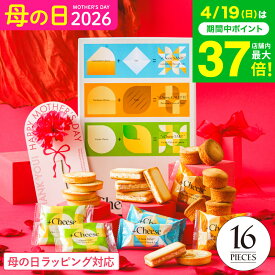 母の日 お菓子 ギフト ソムリエ@ギフト オリジナルスイーツ +Cheese プラスチーズ 16個（包装済、外のし）内祝い 出産 結婚内祝い 出産祝い 結婚祝い 引っ越し祝い 手土産 個包装 焼き菓子JGS 送料無料 お返し 入学内祝い 母の日ギフト2026