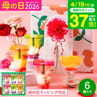 母の日 お菓子 ゼリー ギフト ” ひんやりスイーツ”中島大祥堂 hitotoe ひととえ 3層デザート ジュレパ…