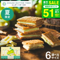 父の日 スイーツ お菓子 ギフト 期間限定 シュガーバターサンドの木 シャインマスカットショコラ シュガ…