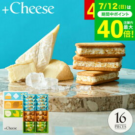 お中元 夏ギフト スイーツ お菓子 ギフト ソムリエ@ギフト オリジナルスイーツ +Cheese プラスチーズ 16個（包装済、外のし）内祝い 出産 結婚内祝い 出産祝い 結婚祝い 手土産 個包装 焼き菓子JGS 送料無料 お返し