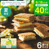 お中元 夏ギフト スイーツ お菓子 ギフト 期間限定 シュガーバターサンドの木 シャインマスカットショコ…