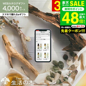 X[p[SALESi|CgUPI𑡂 ̖ J^OMtg X}ző eMtg [webJ^OMtg e-GIFT ̖ vol.3] Tree Of Life tOX A}IC  n