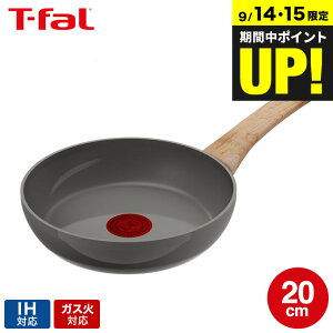 eBt@[ T-fal IHZ~bNOCh A[XO[ tCp20cm C44202 / IHΉ KXΑΉ m点}[N тɂ  i` Ebh tCp tfal JGS 