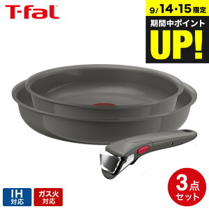 eBt@[ T-fal CWjIElI IHZ~bNOCh A[XO[ Zbg3 L26693 / IHΉ KXΑΉ ̎ tCp 22cm 26cm  I[u H@Ή  Lb`