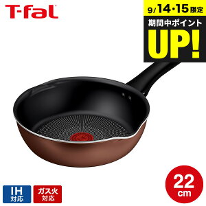 eBt@[ T-fal IH`^EGNZX J }`p 22cm G17217  / IHΉ KXΑΉ [^tCp ؓ  m点}[N тɂ  tCp