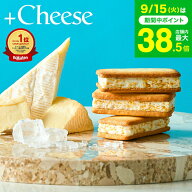 敬老の日 まだ間に合う プレゼント スイーツ お菓子 ギフト 楽天1位 ”サクサク食感 冷やして美味しいチ…