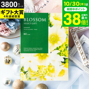 Ε Mtg J^OMtg ubT BCR[X / j  oY j oYj @v Cj җ j ސE  LOi O Hו ʐ^ bZ[WJ[h i v