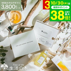 Ε Mtg Dȍ肪Iׂ ̖ J^OMtg [webJ^OMtg J[h^Cv ̖ vol.2 ] Tree Of Life A} RX r[eB[MtgZbg   ObY a 