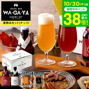 お歳暮 ギフト クラフトビール おつまみセット (酒類) ナッツ ビールセット 家飲み 馨和 KAGUA 2本 小島屋 素焼きナッツ 飲み比べ chotto BAR WAGAYA ビールギフト 内祝い 食べ物 誕生日プレゼント JG