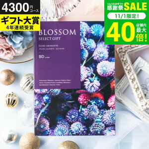 Ε ~Mtg J^OMtg ubT BDR[X / j  oY j oYj @v Cj җ j ސE  LOi O Hו ʐ^ bZ[WJ[h i 