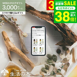 𑡂 ̖ J^OMtg X}ző eMtg [webJ^OMtg e-GIFT ̖ vol.2] Tree Of Life tOX A}IC  n[ueB[ RX MtgZbg 