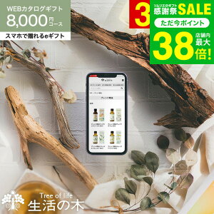 Ε ~Mtg 𑡂 ̖ J^OMtg X}ző eMtg [webJ^OMtg e-GIFT ̖ vol.5] Tree Of Life tOX A}IC  n[ueB[ RX