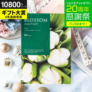 Ε ~Mtg J^OMtg ubT BHR[X / j  oY j oYj @v Cj җ j ސE  LOi O Hו ʐ^ bZ[WJ[h i 