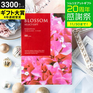 Ε ~Mtg J^OMtg ubT BBR[X / j  oY j oYj @v Cj җ j ސE  LOi O Hו ʐ^ bZ[WJ[h i 