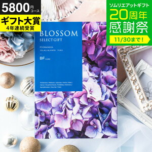 Ε ~Mtg J^OMtg ubT BFR[X / j  oY j oYj @v Cj җ j ސE  LOi O Hו ʐ^ bZ[WJ[h i 