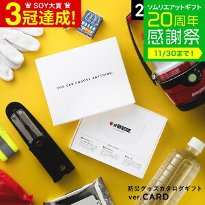 Ε ~Mtg hЃJ^OMtg J^OMtg J[h^Cv [hЃObY webJ^OMtg AbgXL[ produced by LAEPITA 񂺂]s^ at RESCUE h Zbg h hЗp